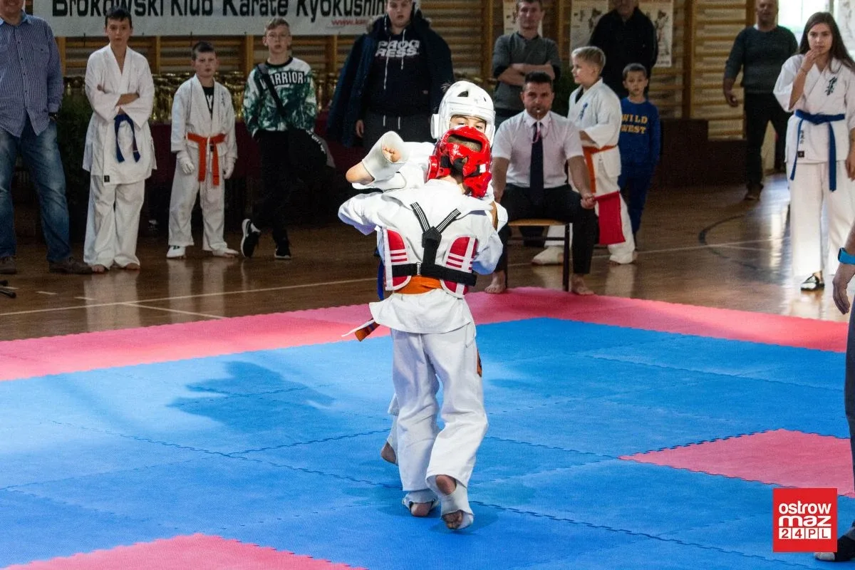 Setki karateków na macie w Sadownem (zdjęcia, wideo)