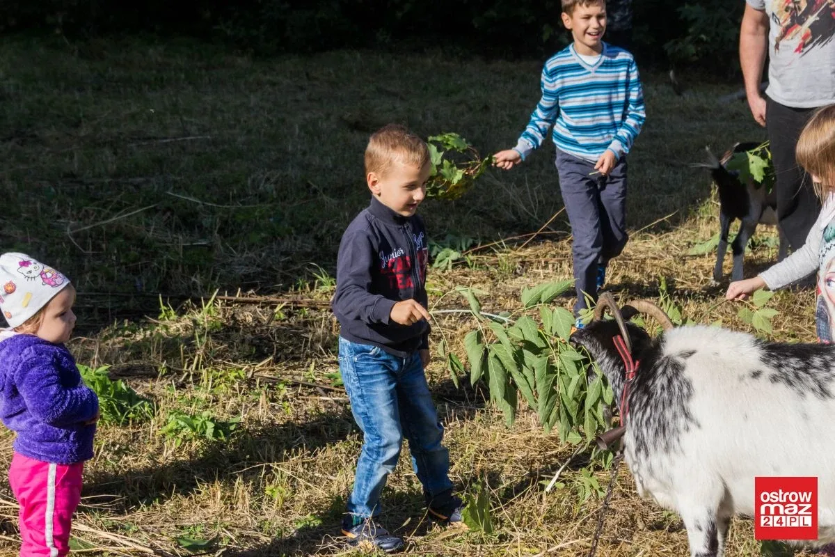 Tłumy na ulicy Słowackiego. "Żywa Ulica" zakończona sukcesem (zdjęcia, wideo)