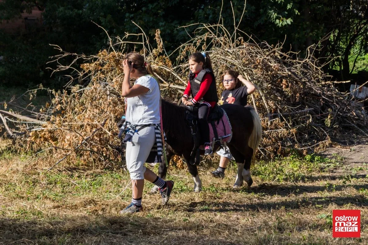 Tłumy na ulicy Słowackiego. "Żywa Ulica" zakończona sukcesem (zdjęcia, wideo)