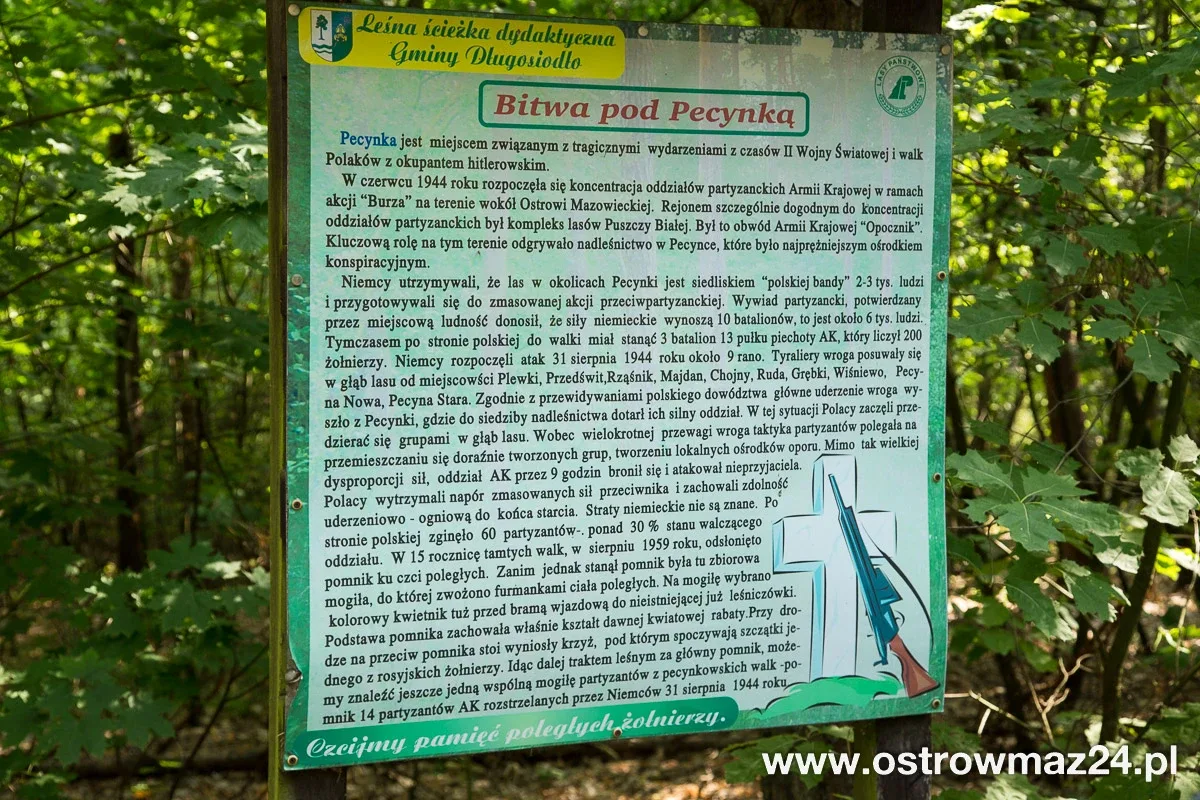 Pod Pecynką uczcili pamięć bohaterów (zdjęcia, wideo)