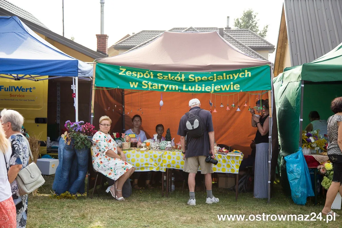 Święto plonów w gminie Ostrów Mazowiecka (zdjęcia, wideo)
