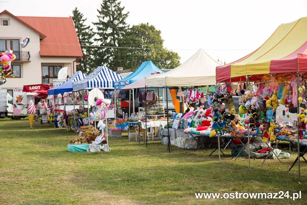 Święto plonów w gminie Ostrów Mazowiecka (zdjęcia, wideo)