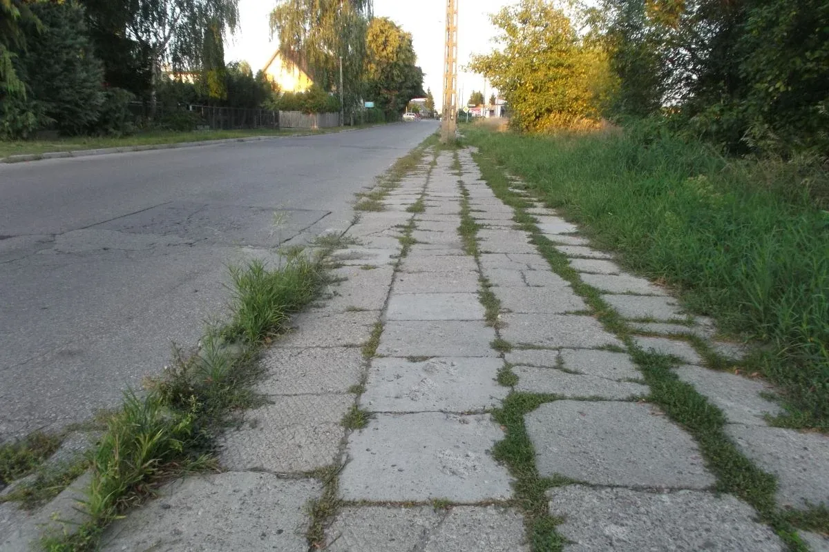 Skrzynka skarg: Zarośnięte chodniki w Ostrowi Mazowieckiej (zdjęcia)