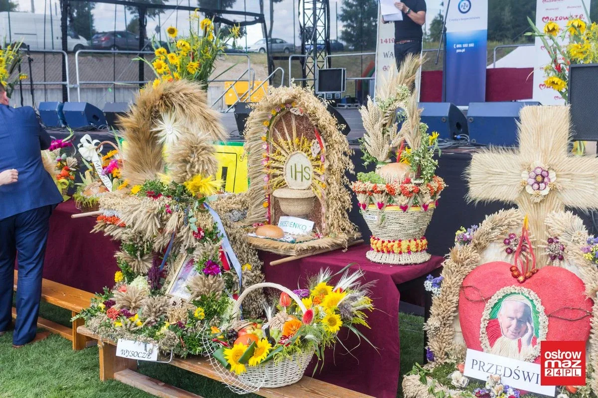 Dożynki na gminnym stadionie w Wąsewie z wieloma atrakcjami (zdjęcia, wideo)