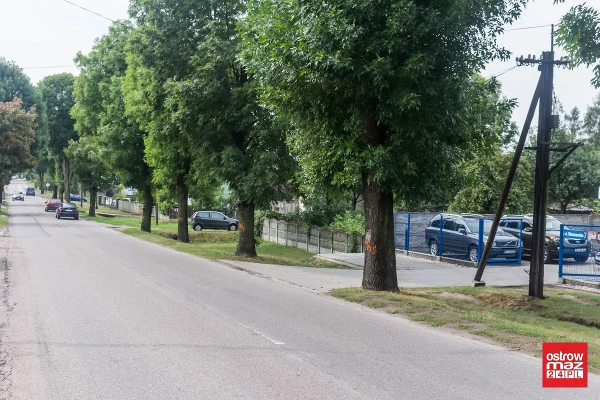 Skrzynka skarg: Wycinka drzew przy ul. Brokowskiej i Warszawskiej (zdjęcia)