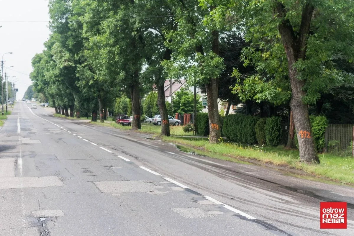 Skrzynka skarg: Wycinka drzew przy ul. Brokowskiej i Warszawskiej (zdjęcia)