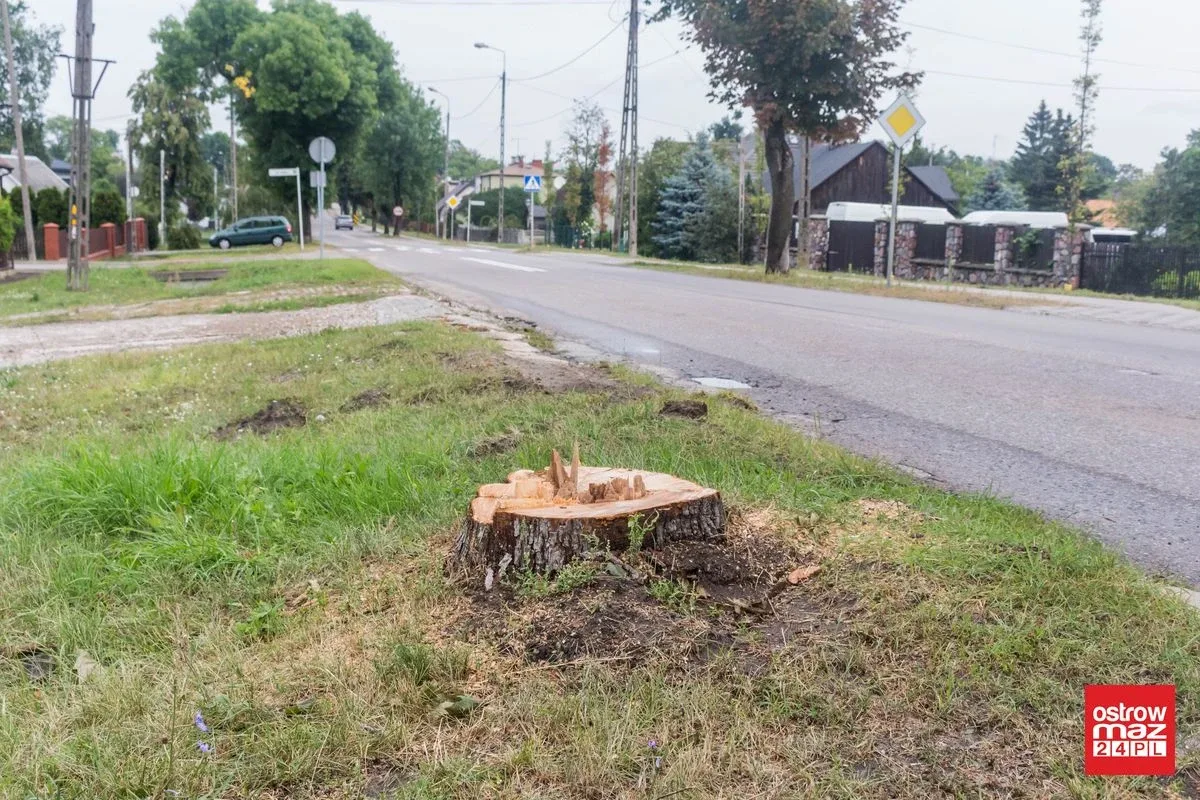 Skrzynka skarg: Wycinka drzew przy ul. Brokowskiej i Warszawskiej (zdjęcia)