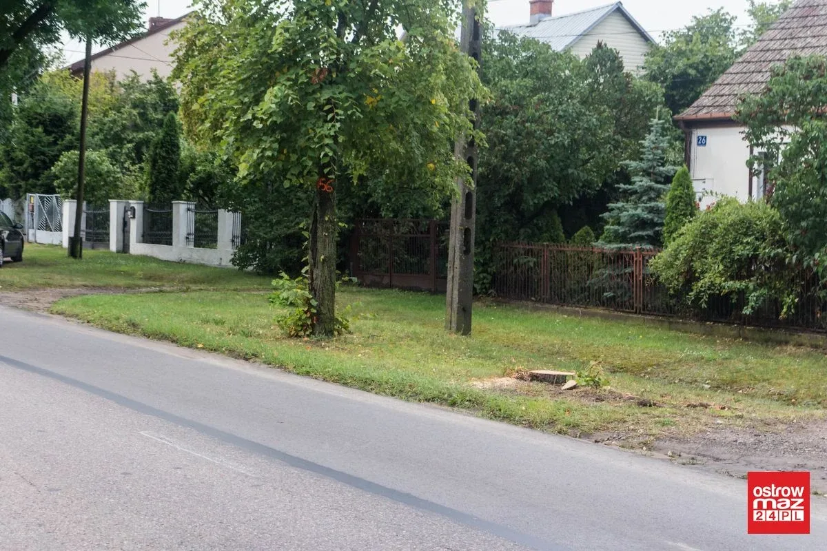Skrzynka skarg: Wycinka drzew przy ul. Brokowskiej i Warszawskiej (zdjęcia)