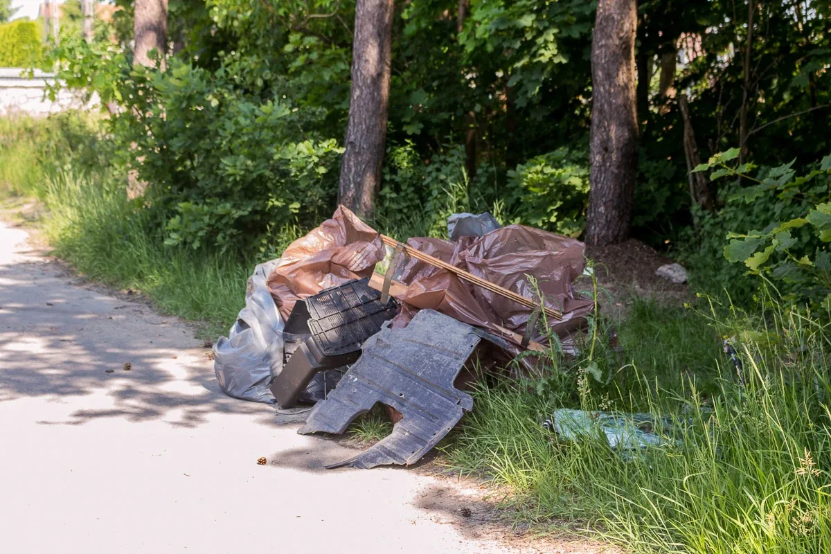 Sprzątanie w Światowym Dniu Ochrony Środowiska (zdjęcia, wideo)