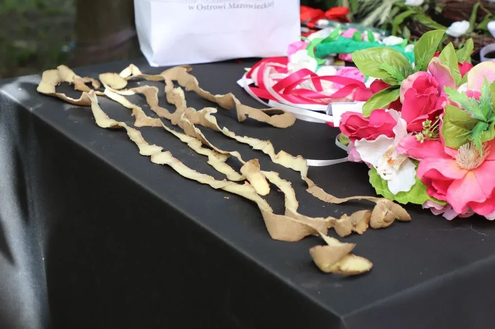 XV Ostrowski Piknik z Książką przyciągnął tłumy mieszkańców! (zdjęcia)