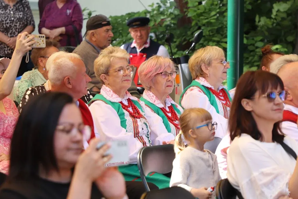 XV Ostrowski Piknik z Książką przyciągnął tłumy mieszkańców! (zdjęcia)