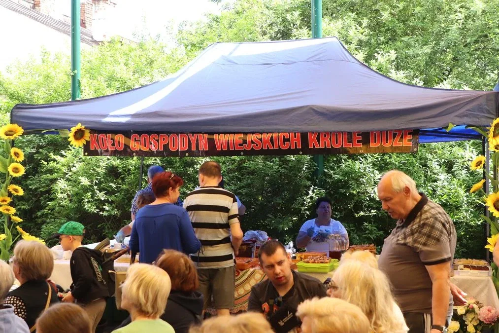 XV Ostrowski Piknik z Książką przyciągnął tłumy mieszkańców! (zdjęcia)