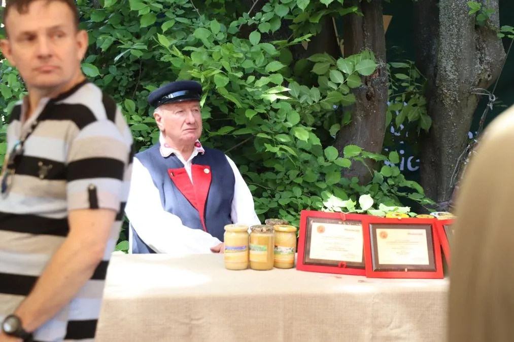 XV Ostrowski Piknik z Książką przyciągnął tłumy mieszkańców! (zdjęcia)