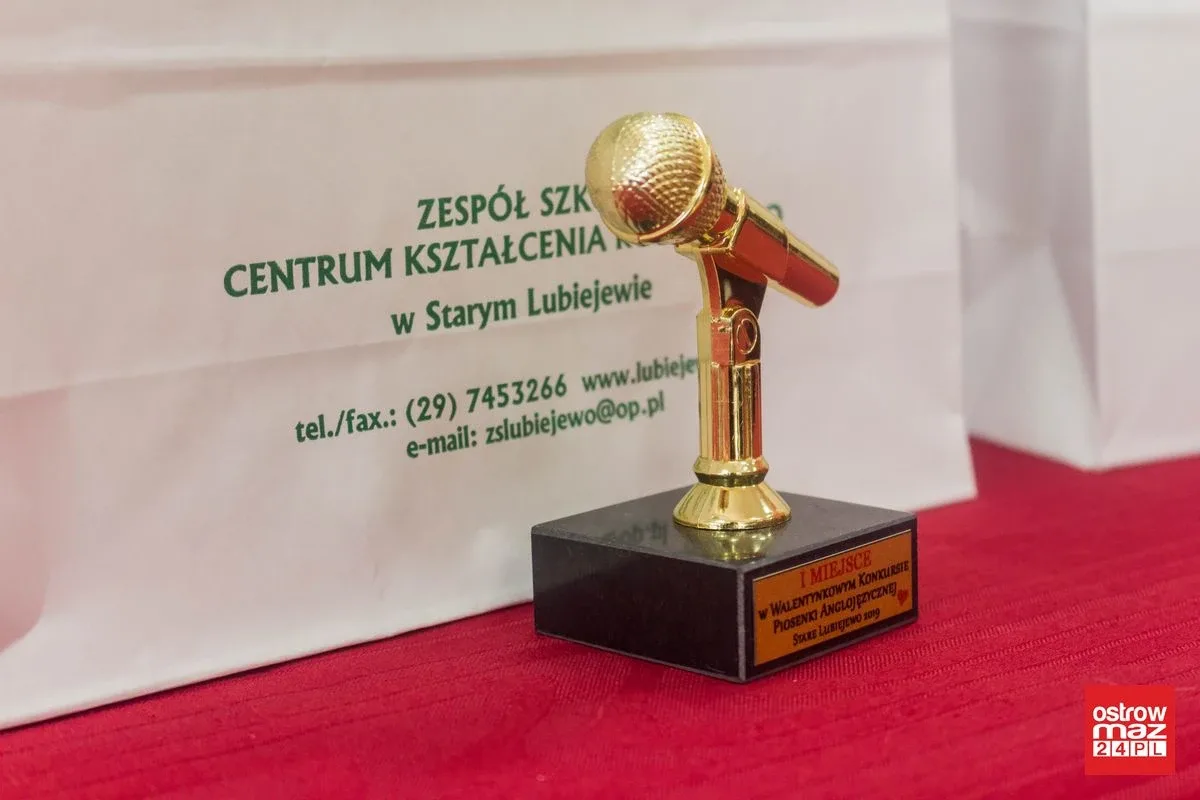 Konkurs piosenki walentynkowej w Starym Lubiejewie (zdjęcia, wideo)