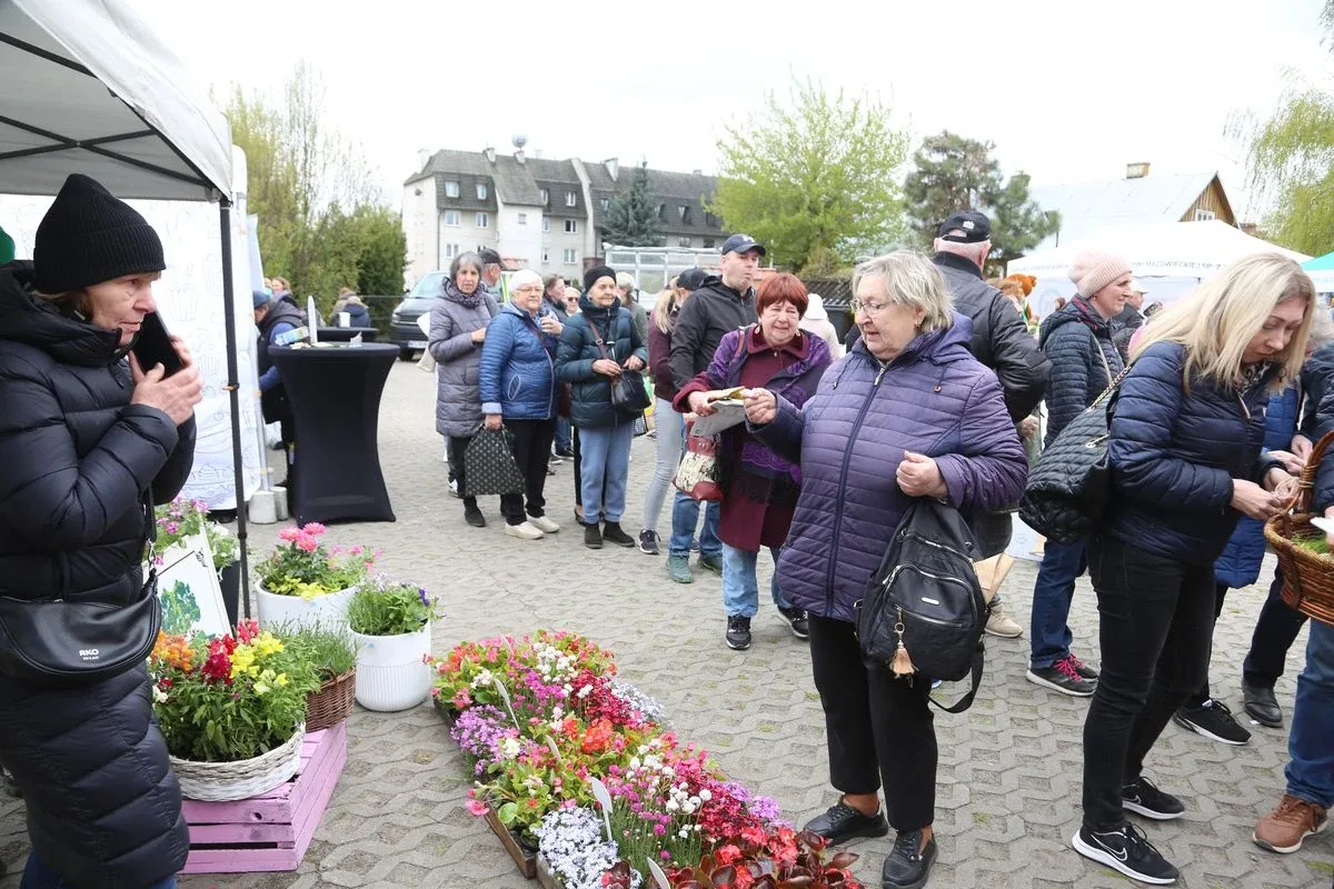 Przynieśli surowce wtórne, dostali rośliny. Nasza akcja: Piknik na zielono w Ostrowi Mazowieckiej. Zdjęcia, wideo