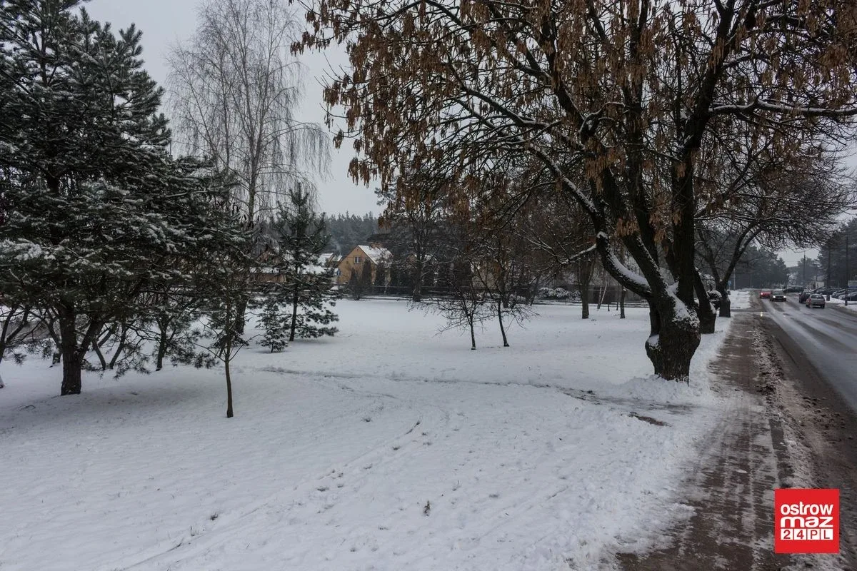 Zaśnieżona Ostrów Mazowiecka (zdjęcia)