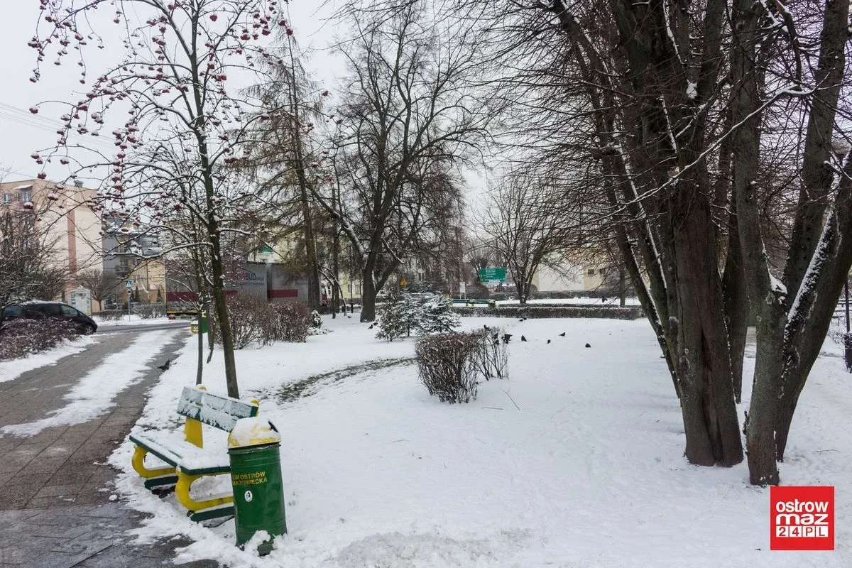Zaśnieżona Ostrów Mazowiecka (zdjęcia)