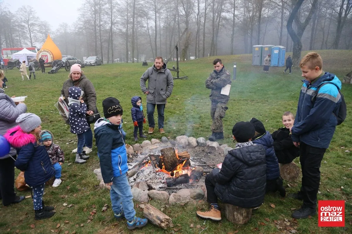 Piknik militarny dla niepodległej (zdjęcia, wideo)