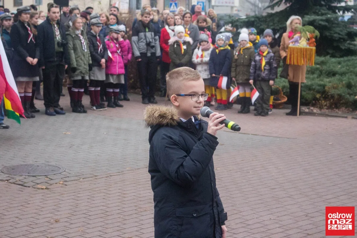 Miejskie obchody Święta Niepodległości (zdjęcia, wideo)