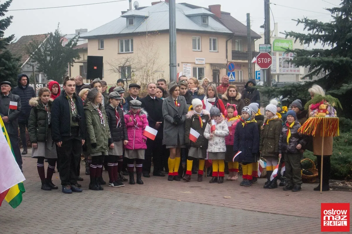 Miejskie obchody Święta Niepodległości (zdjęcia, wideo)