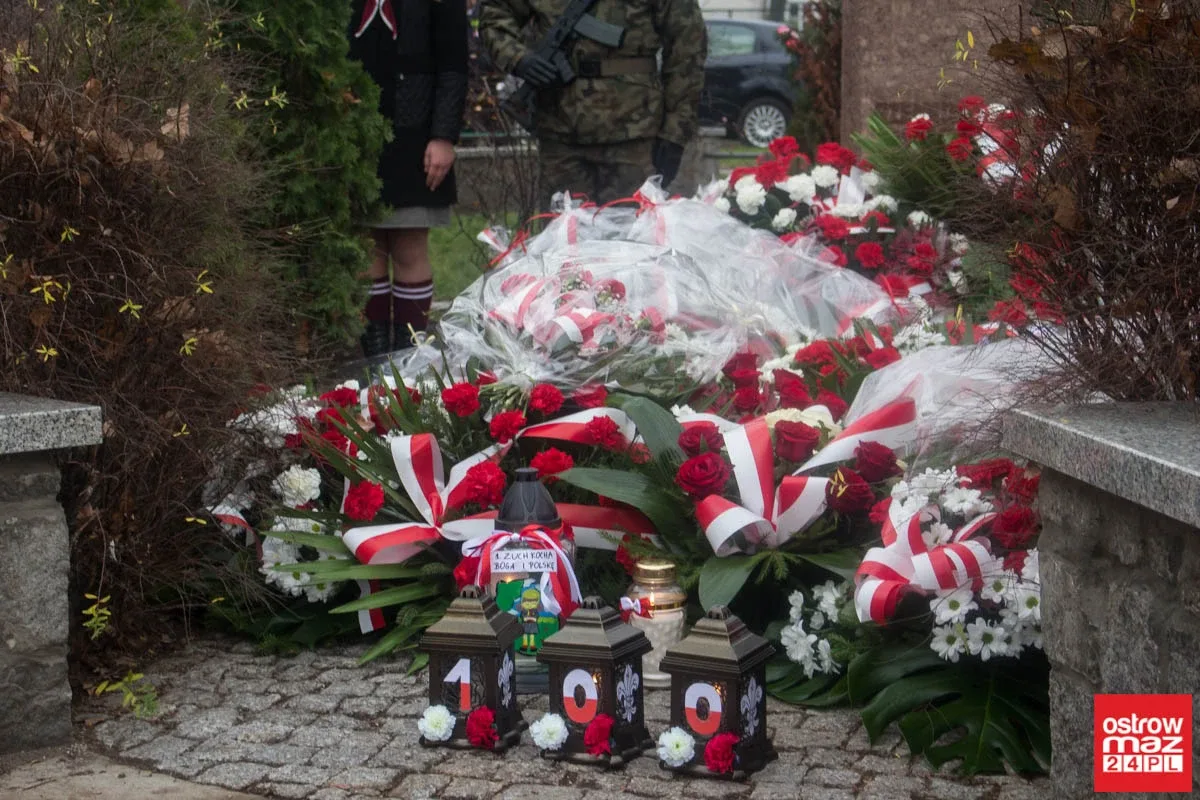 Miejskie obchody Święta Niepodległości (zdjęcia, wideo)