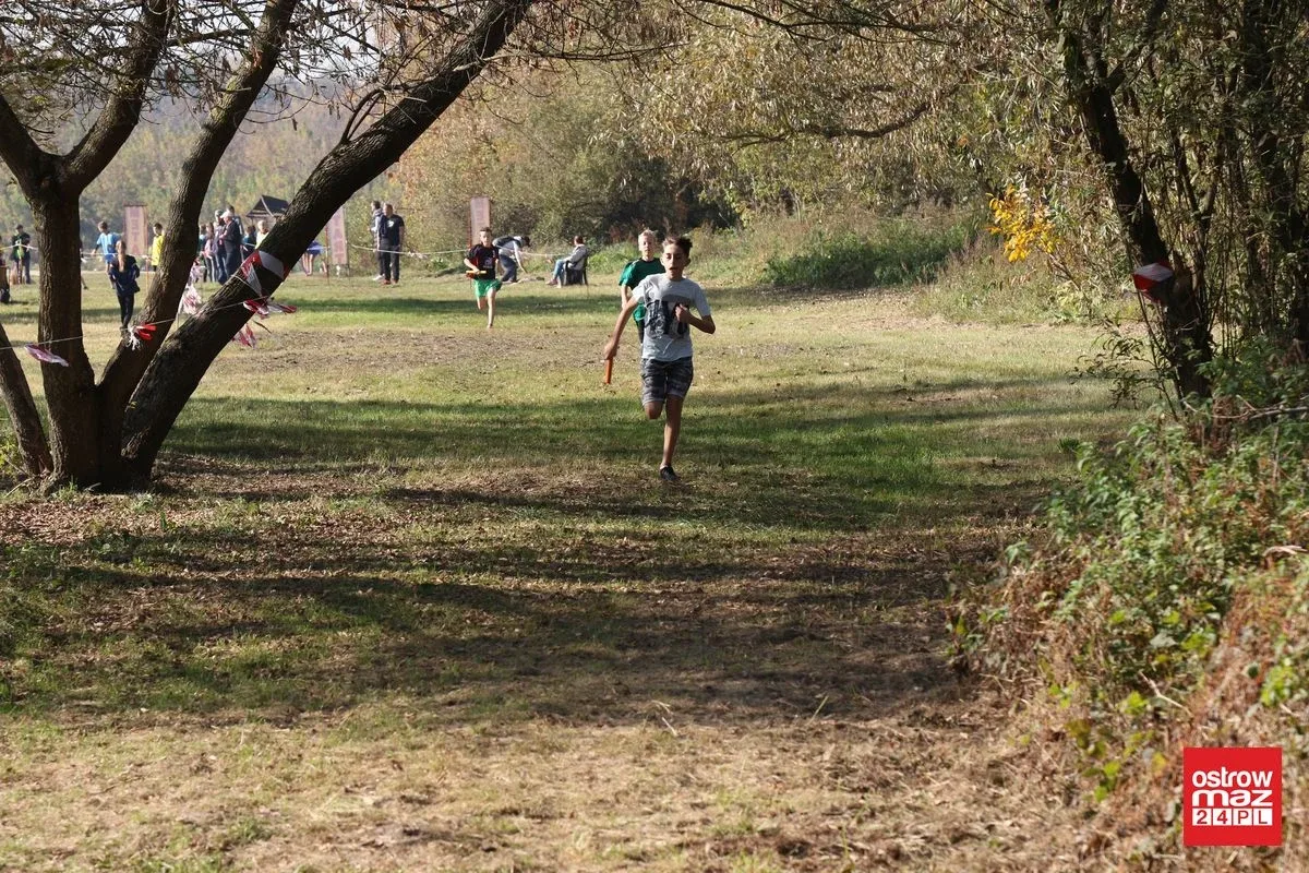 Przełajowe zmagania o medale (zdjęcia, wideo)