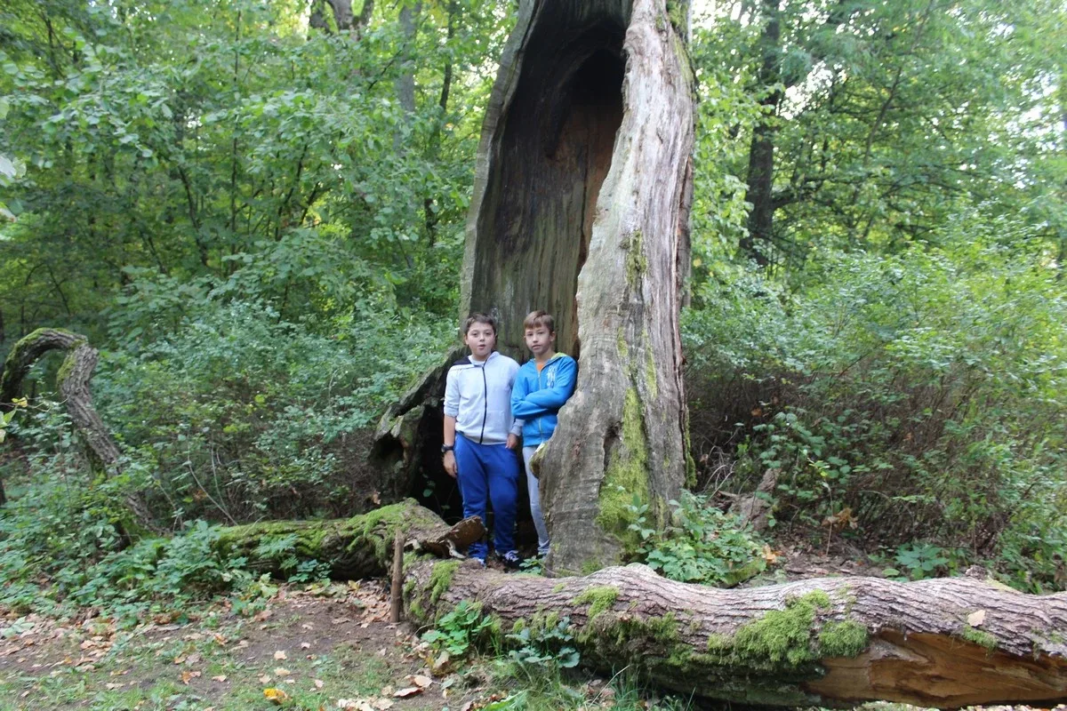 Uczniowie klas piątych na wycieczce w Białowieży (zdjęcia)