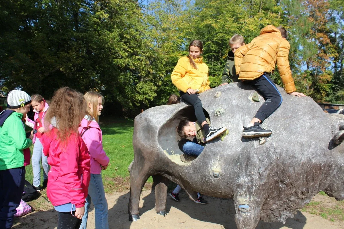 Uczniowie klas piątych na wycieczce w Białowieży (zdjęcia)