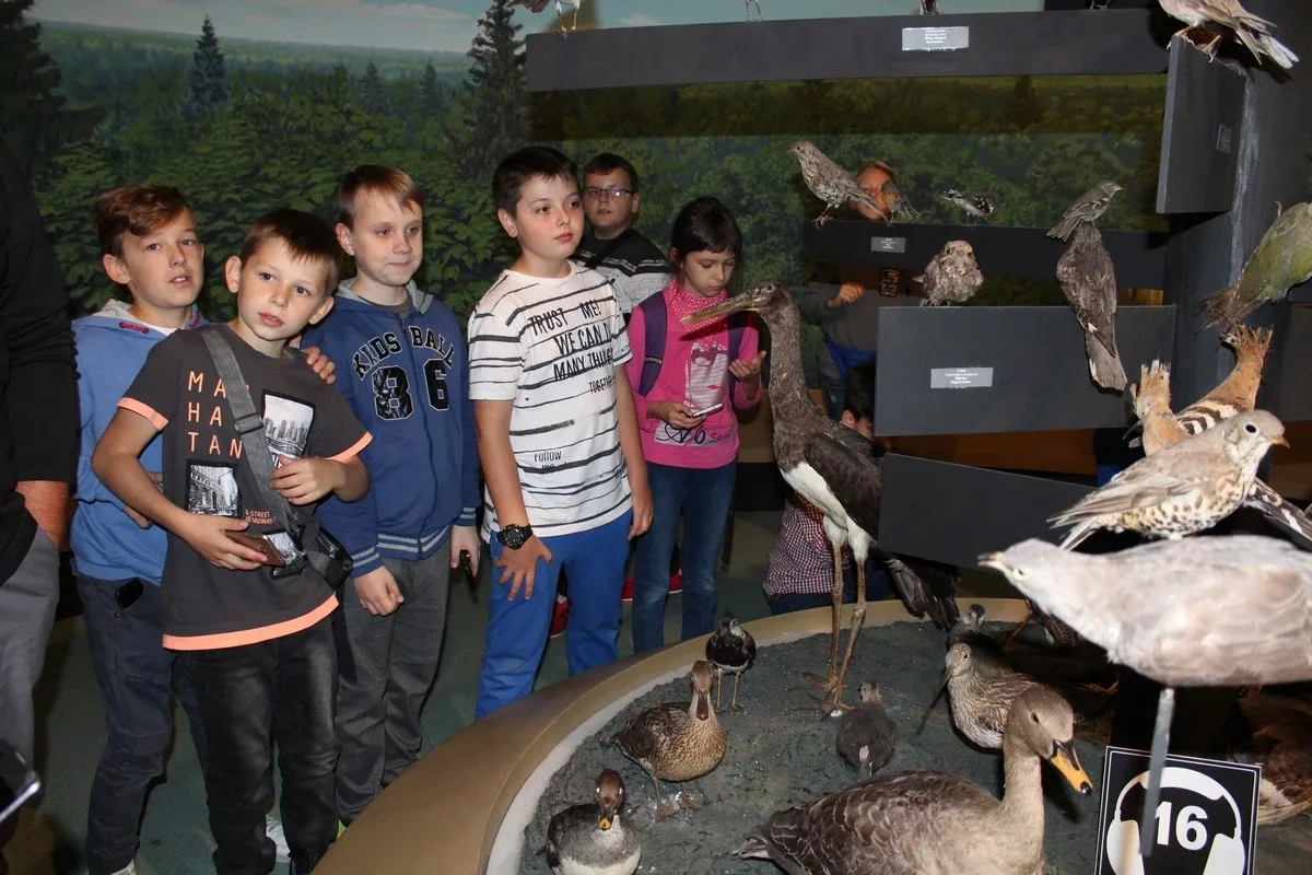 Uczniowie klas piątych na wycieczce w Białowieży (zdjęcia)