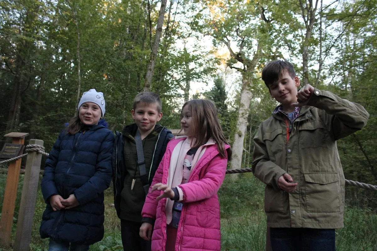 Uczniowie klas piątych na wycieczce w Białowieży (zdjęcia)