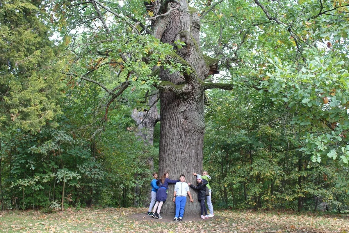 Uczniowie klas piątych na wycieczce w Białowieży (zdjęcia)