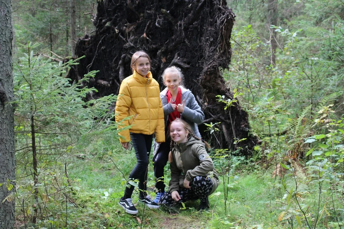 Uczniowie klas piątych na wycieczce w Białowieży (zdjęcia)