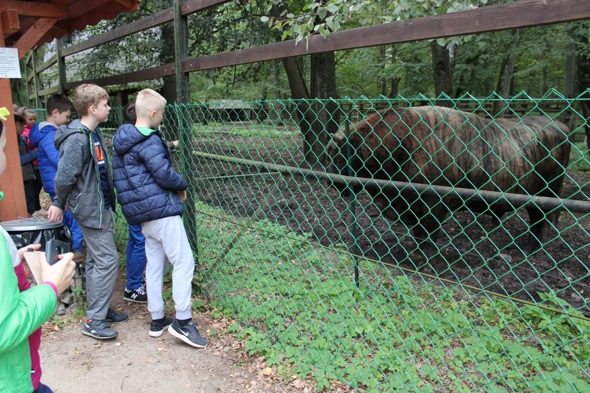 Uczniowie klas piątych na wycieczce w Białowieży (zdjęcia)
