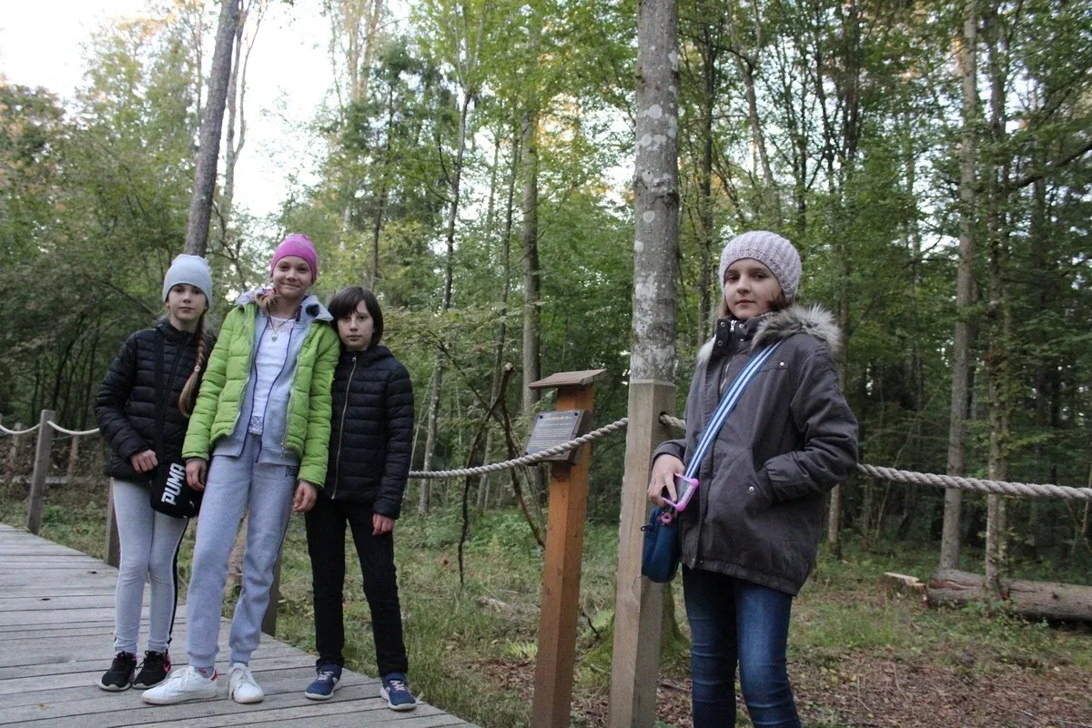 Uczniowie klas piątych na wycieczce w Białowieży (zdjęcia)