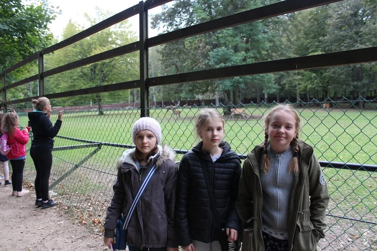 Uczniowie klas piątych na wycieczce w Białowieży (zdjęcia)