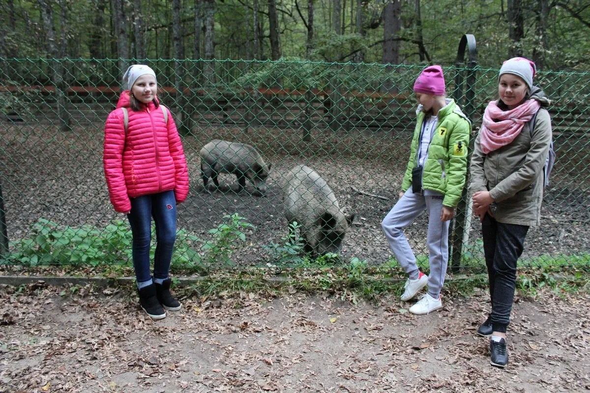 Uczniowie klas piątych na wycieczce w Białowieży (zdjęcia)