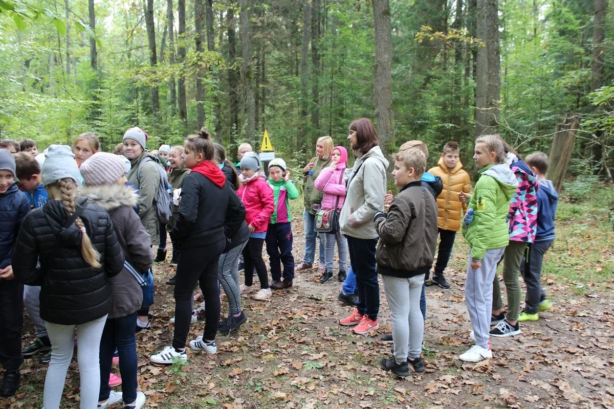 Uczniowie klas piątych na wycieczce w Białowieży (zdjęcia)