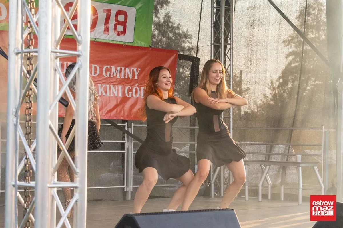 Dożynki gminne w Małkini Górnej (zdjęcia, wideo)