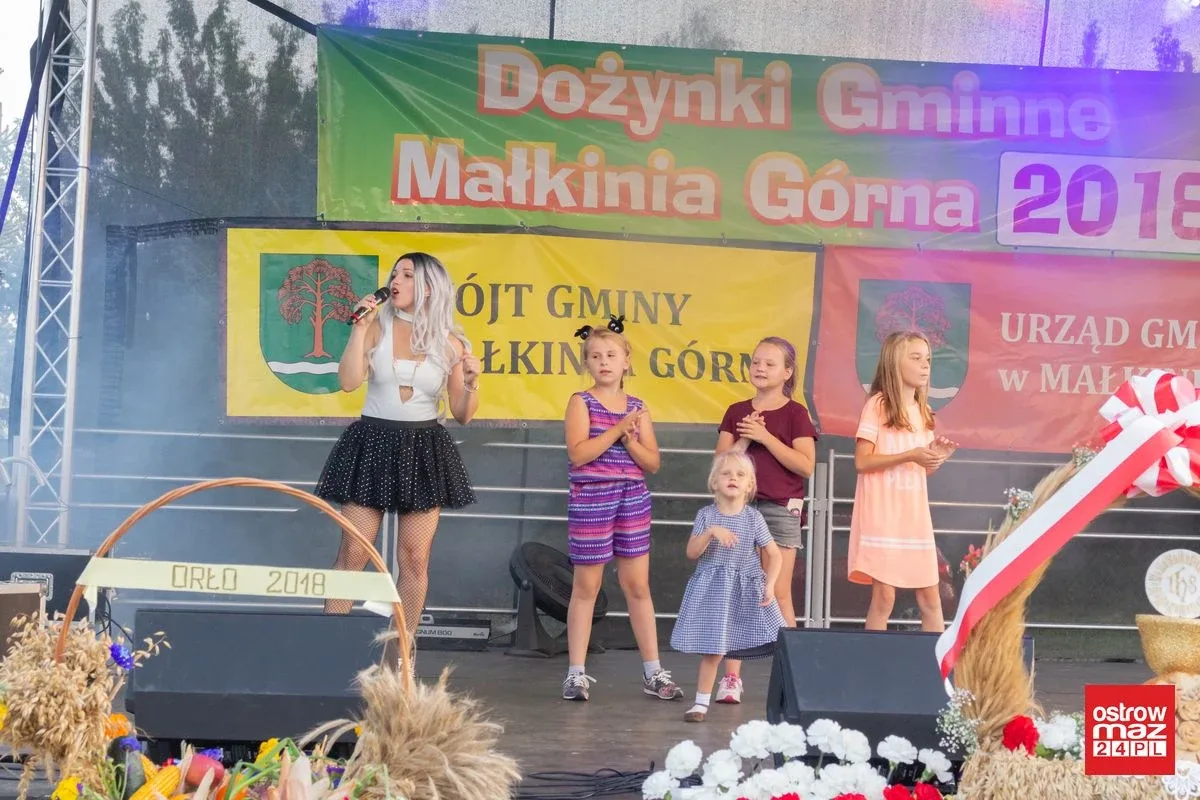 Dożynki gminne w Małkini Górnej (zdjęcia, wideo)