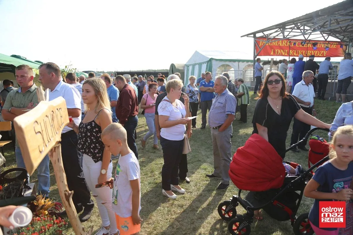 Moc atrakcji i zabawy na Jarmarkach Czerwińskich (zdjęcia, wideo)