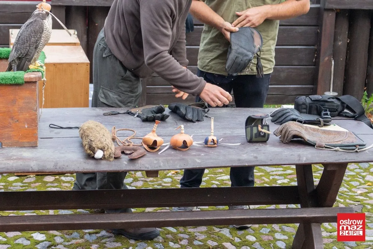 Wielki piknik średniowieczny w Ostrowi Mazowieckiej (zdjęcia, wideo)