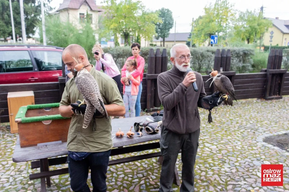 Wielki piknik średniowieczny w Ostrowi Mazowieckiej (zdjęcia, wideo)