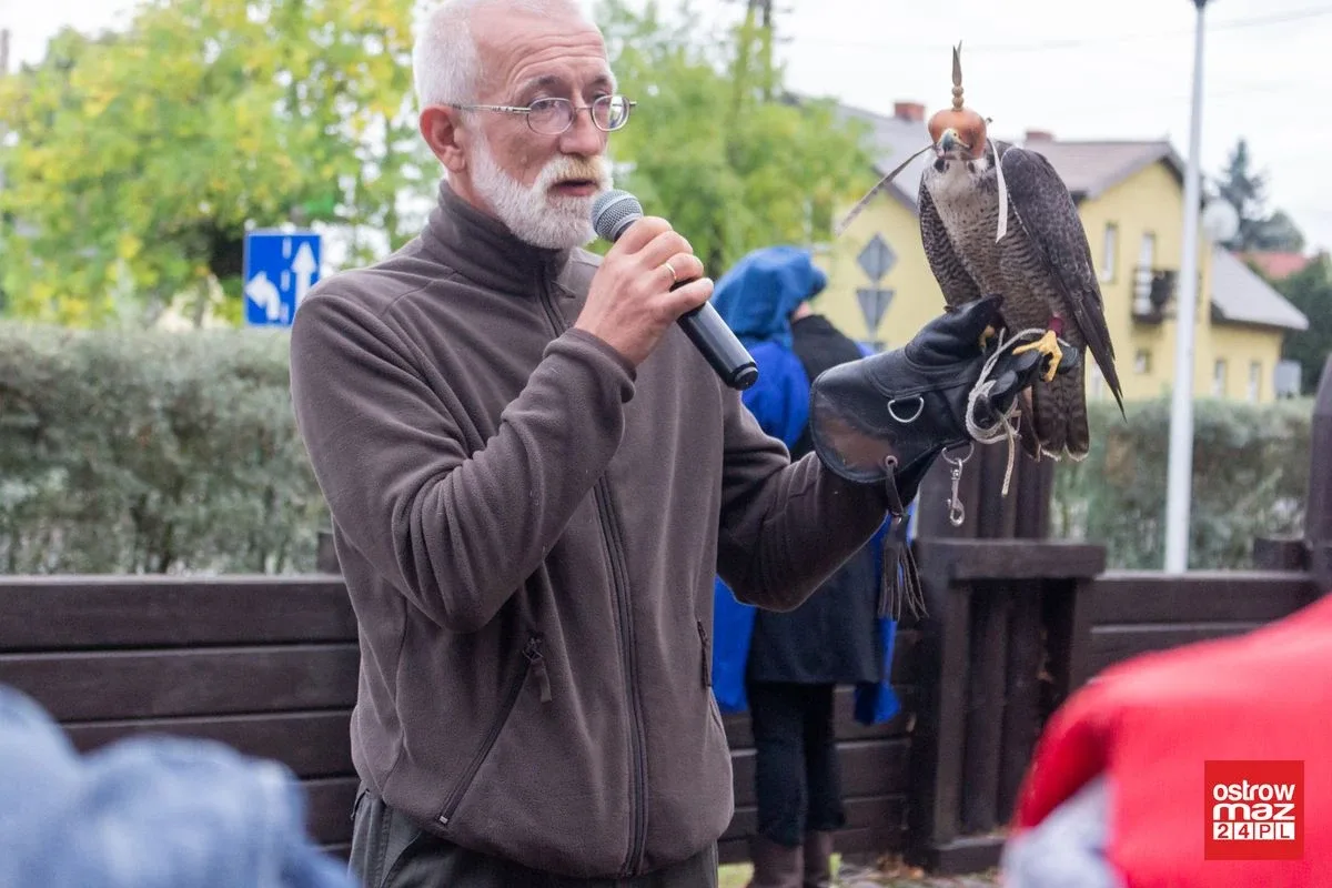 Wielki piknik średniowieczny w Ostrowi Mazowieckiej (zdjęcia, wideo)