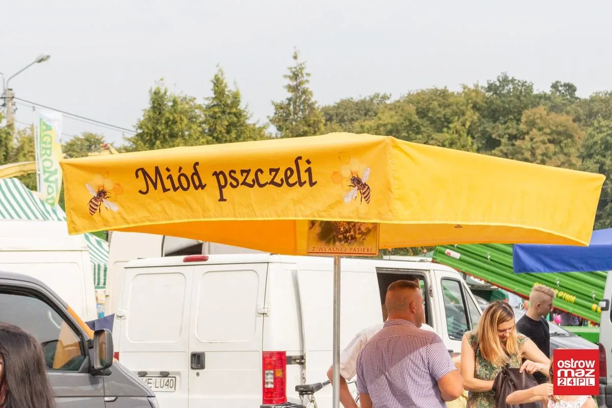 Dni Kukurydzy w Andrzejewie (zdjęcia, wideo)