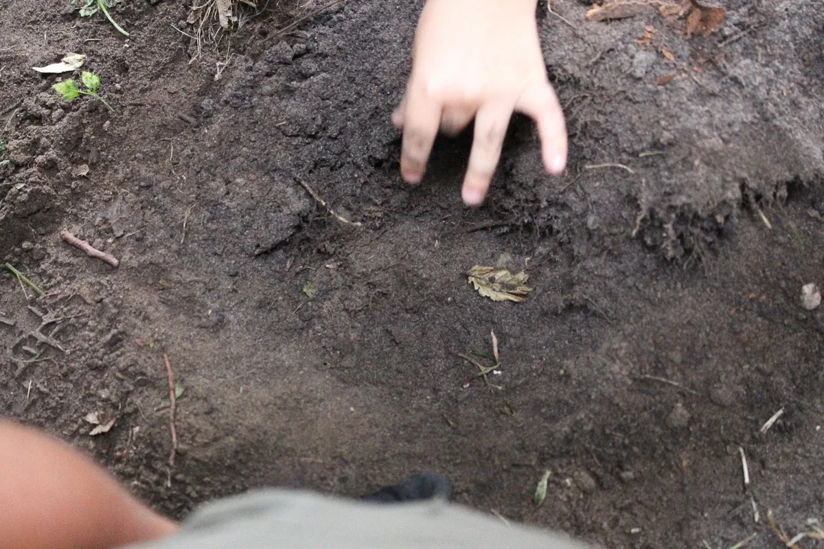 Animacje i skarby na ostrowskim pikniku (zdjęcia)