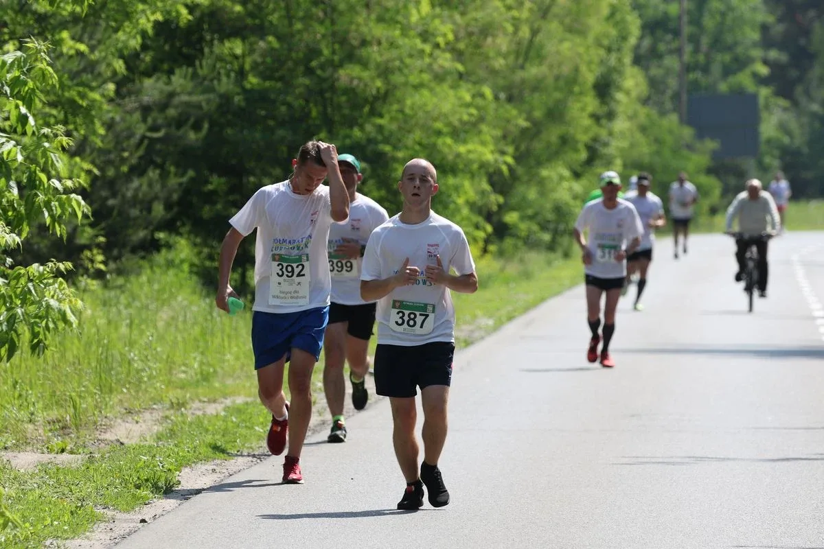 Półmaraton Kurpiowski za nami. Dąbrowski zwycięża, Gawkowski dwudziesty (zdjęcia, wideo)
