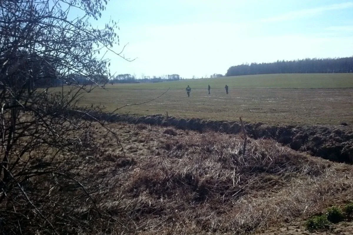 Stary Lubotyń: poszukiwania martwych dzików (zdjęcia)