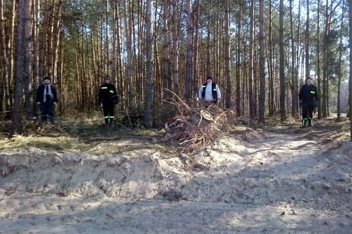 Stary Lubotyń: poszukiwania martwych dzików (zdjęcia)