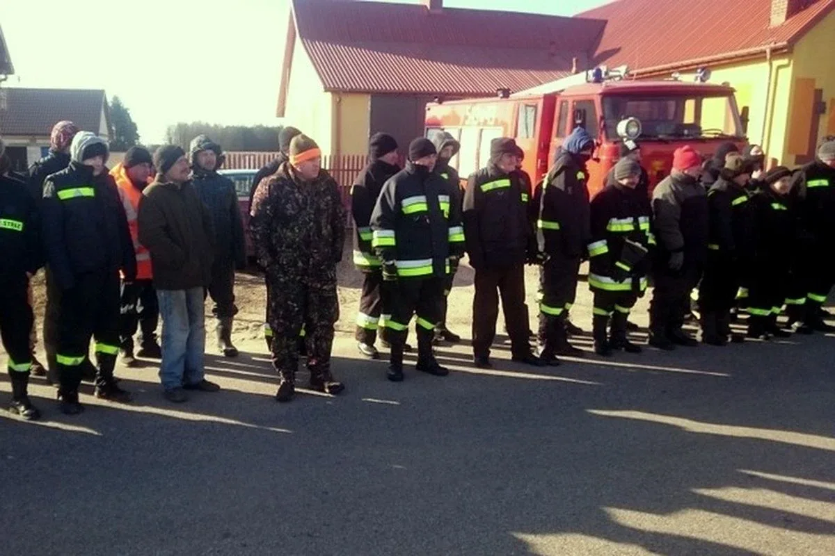 Stary Lubotyń: poszukiwania martwych dzików (zdjęcia)
