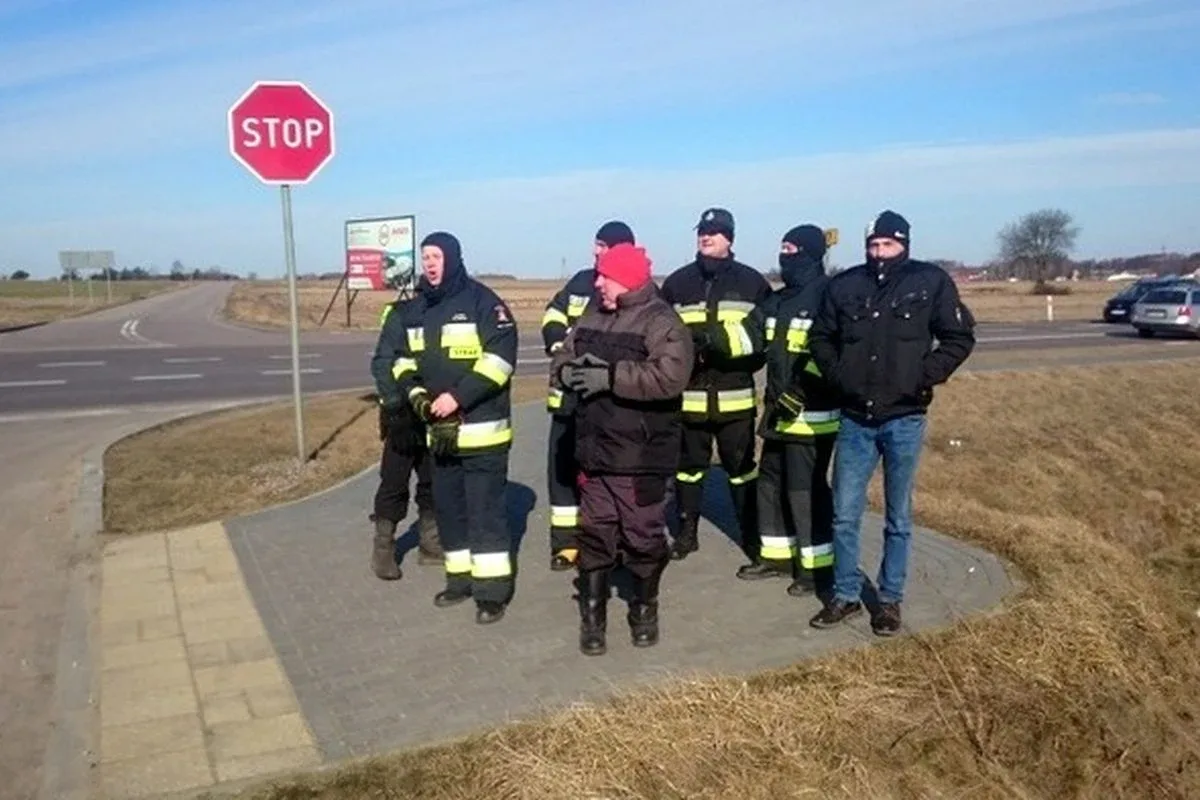 Stary Lubotyń: poszukiwania martwych dzików (zdjęcia)